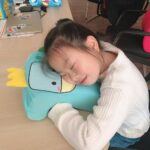 Nap Pillows Cooling Ice-Silk Memory Foam Nap Pillow